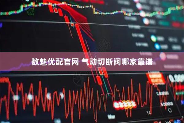 数魅优配官网 气动切断阀哪家靠谱